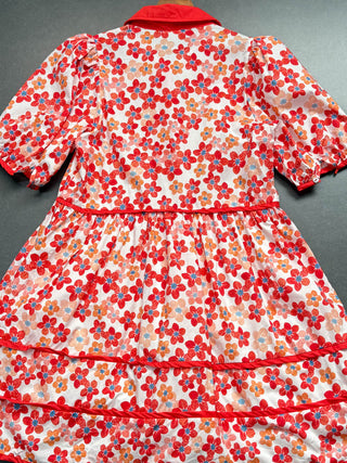 Floral Print Collared Mini Dress