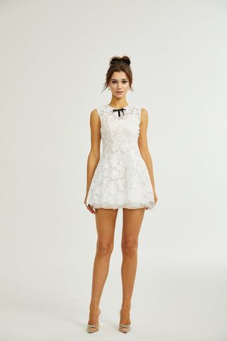 Lanetta guipure lace tulle-skirt dress