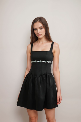 Delia embellished flared dress