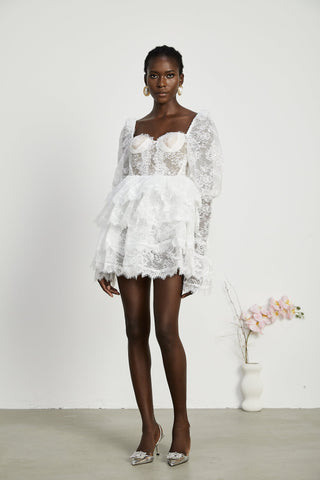 Nadine semi-sheer lace-trim mini dress