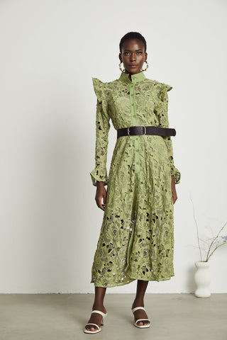 Noémie lace floral-embroidered midi dress in Green