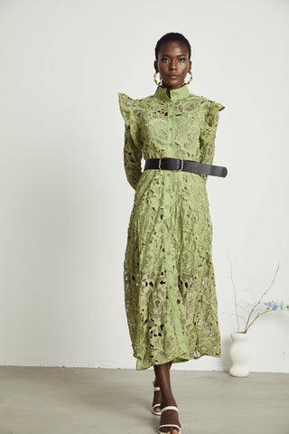 Noémie lace floral-embroidered midi dress in Green