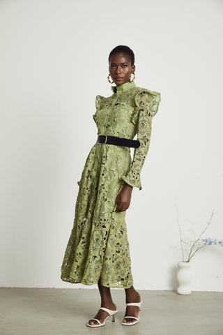 Noémie lace floral-embroidered midi dress in Green