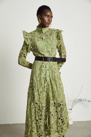 Noémie lace floral-embroidered midi dress in Green