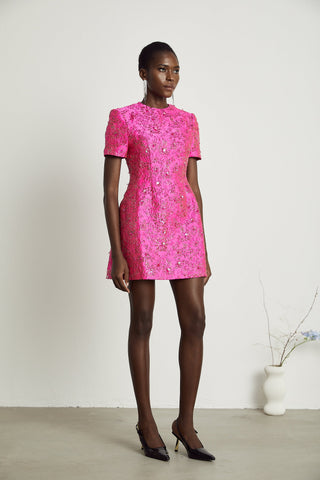 Florentina floral-appliqué embellished mini dress