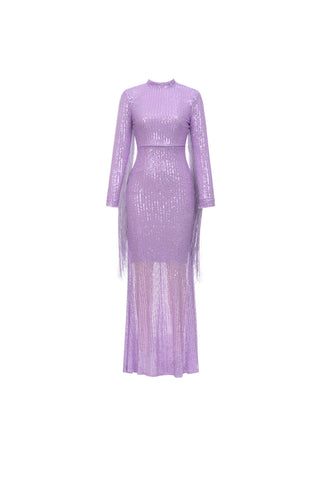 Sequin fringe maxi dress in purple