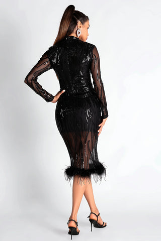 Smendes Sequin Mesh Feather Dress