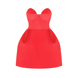 Laure bustier mini dress