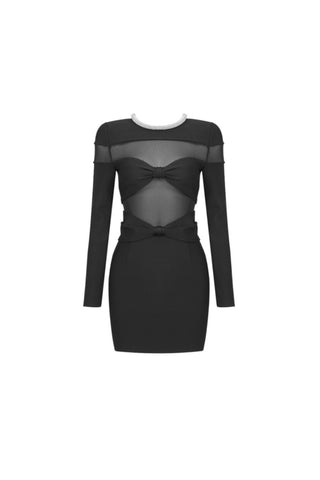 LONG SLEEVE CRYSTAL NECKLINE MINI DRESS