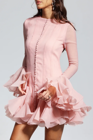 Alberta Semi-sheer Ruffle Mini Dress - Pink