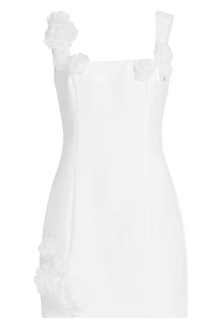 Dilanne Floral  Appliqué Mini Dress - White