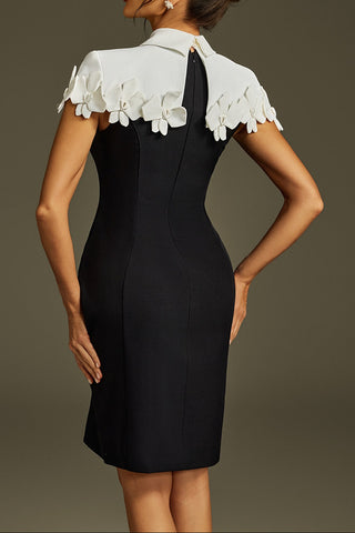 alma Collar Flower Mini Dress In Black