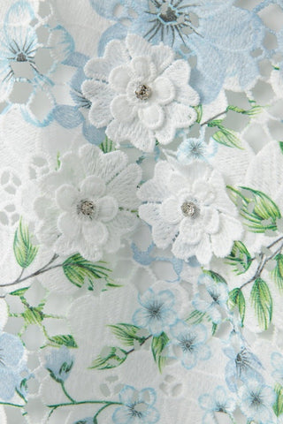 hazel Floral Printed Lace Mini Dress in sky blue