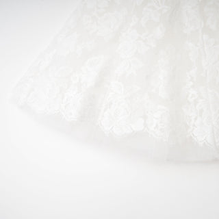 Lanetta guipure lace tulle-skirt dress