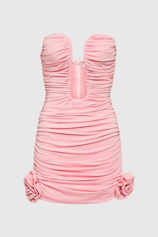 Skye Ruch Flower Hollow Mini Dress