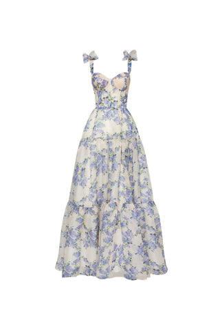Hydrangea Tender floral maxi tie-strap dress