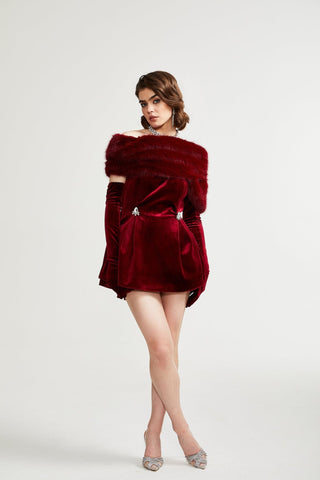 Wivika velvet fur dress